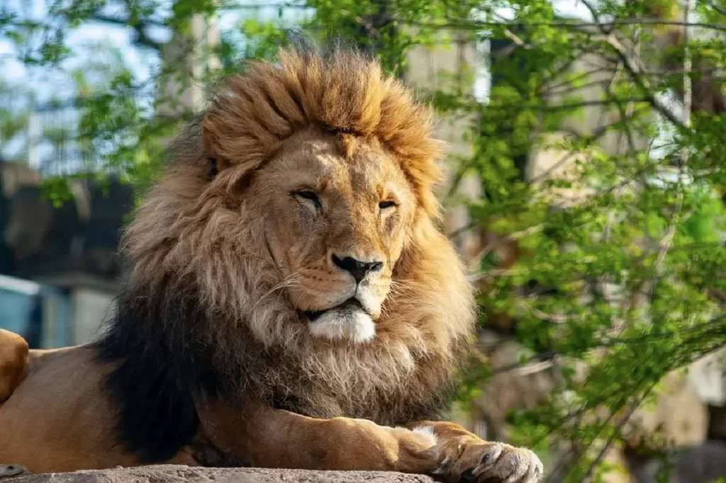wycieczka szkolna Gdańsk ZOO