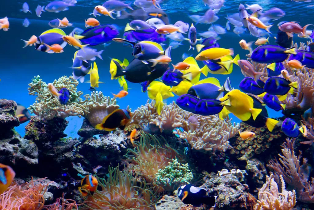 wycieczka szkolna Gdynia oceanarium