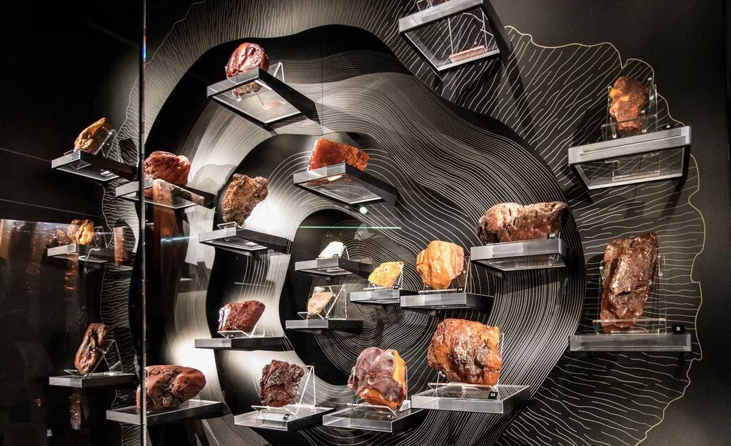 wycieczka szkolna Gdańsk muzeum bursztynu