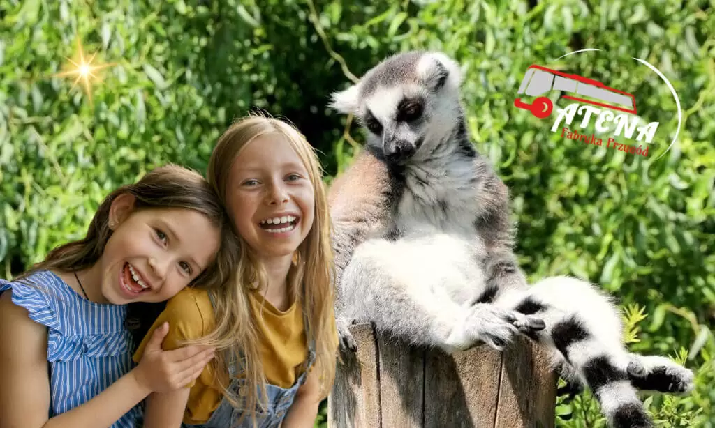 wycieczka szkolna do Opola