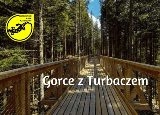 Gorce ścieżka w chmurach wycieczka szkolna